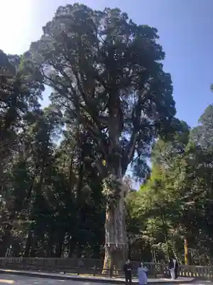 霧島神宮(鹿児島県)