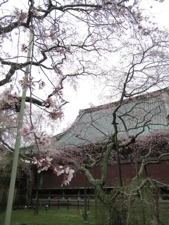 般若院(茨城県)