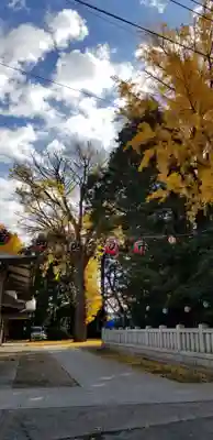 小向三輪神社のその他建物