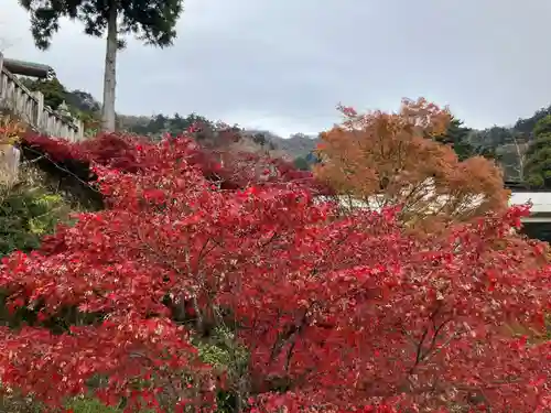 大山阿夫利神社(神奈川県)