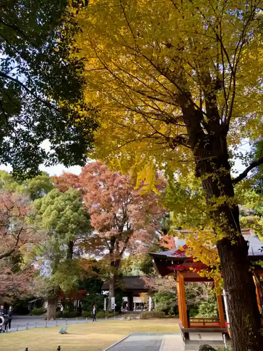 阿佐ヶ谷神明宮(東京都)