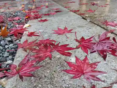 總社 和田八幡宮(福井県)