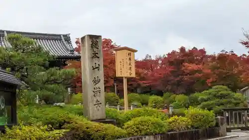 妙満寺(京都府)