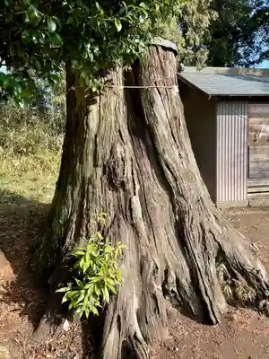 天満宮(栃木県)