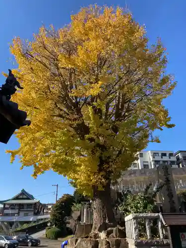 本覺寺(神奈川県)