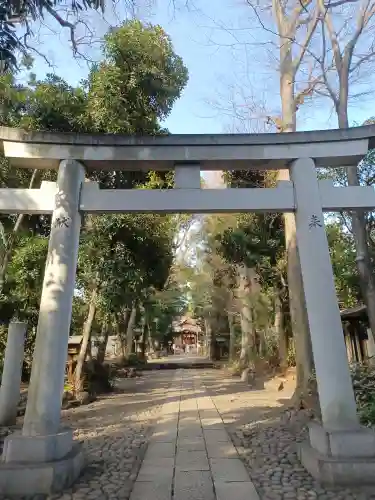 代々木八幡宮の鳥居