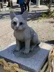 阿豆佐味天神社 立川水天宮の狛犬