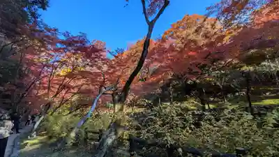 北野天満宮(京都府)