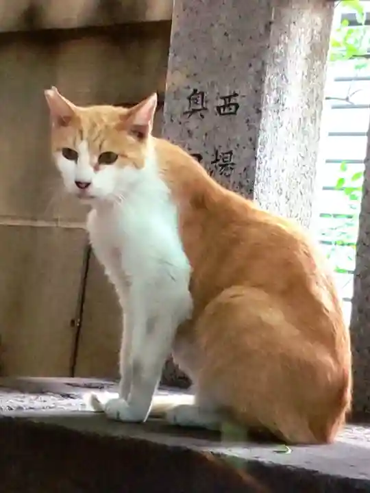 小野照崎神社(東京都)