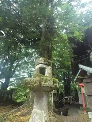 碓氷峠熊野神社(群馬県)
