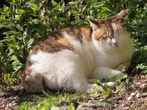 熊野若王子神社(京都府)