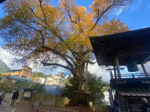 北向観音(長野県)