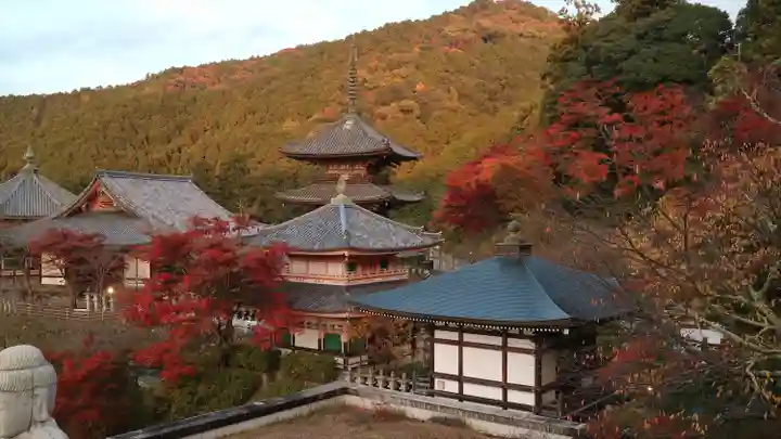 南法華寺(壷阪寺)(奈良県)
