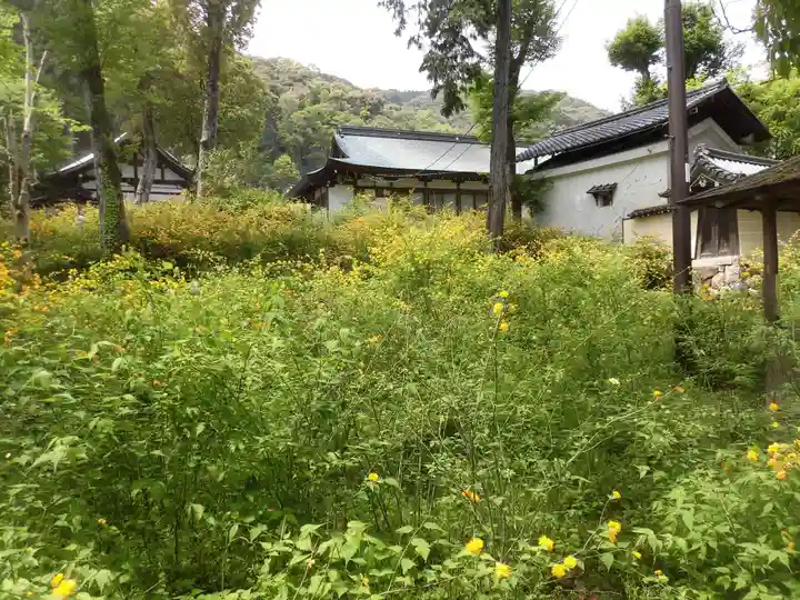 松尾大社の自然