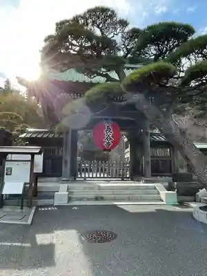 長谷寺(神奈川県)
