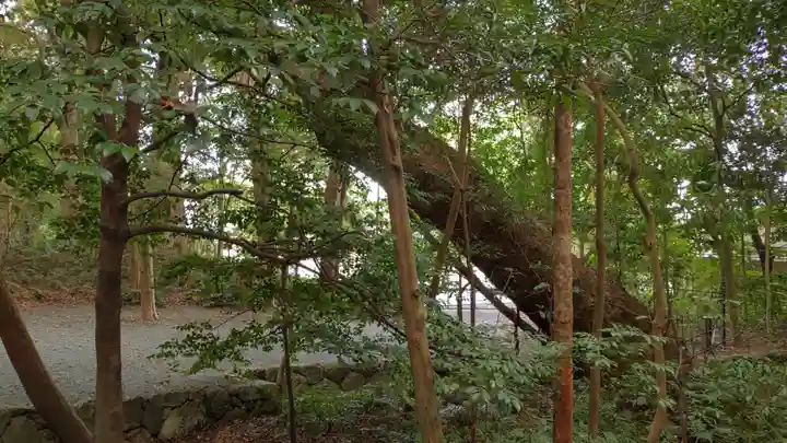 伊雜宮(皇大神宮別宮)(三重県)