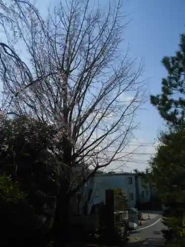 安國論寺（安国論寺）の自然