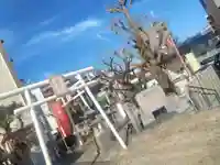 天疫神社(福岡県)