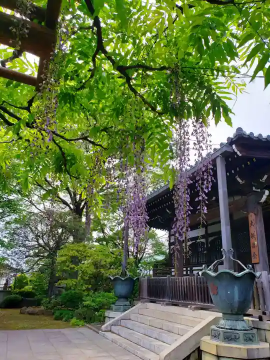 愛染院(東京都)