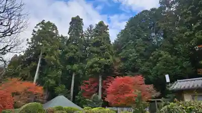 後鳥羽天皇・順徳天皇　大原陵(京都府)