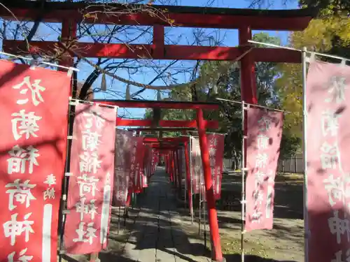 於菊稲荷神社の鳥居