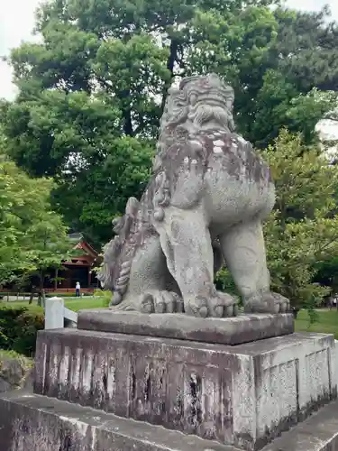 武田神社の狛犬