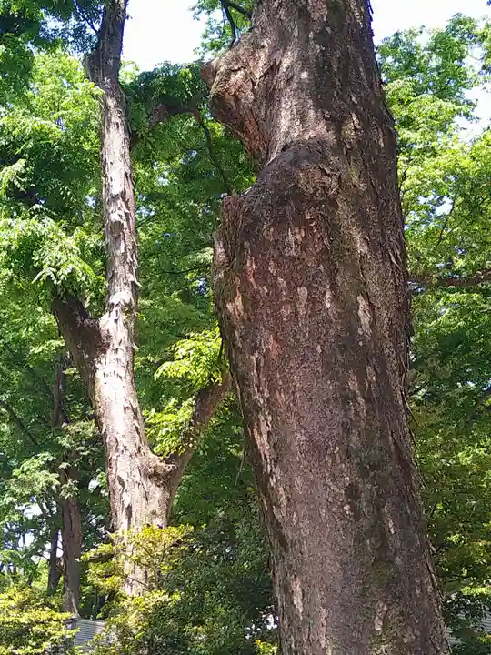 大國魂神社(東京都)