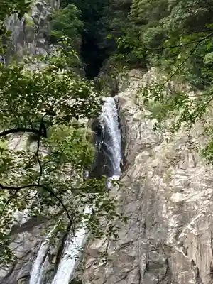 不動尊(布引の滝)の自然