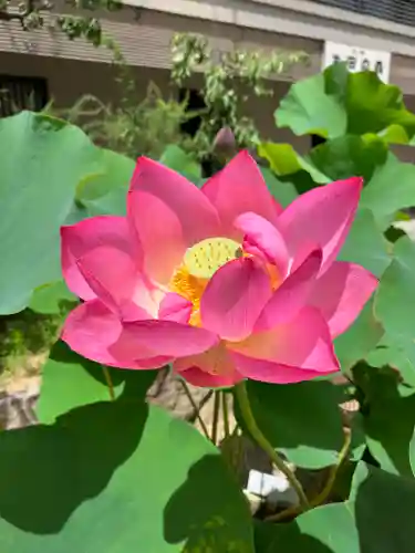 生田神社の自然