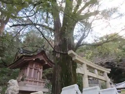 朝護孫子寺(奈良県)
