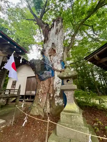 鹿嶋神社(宮城県)