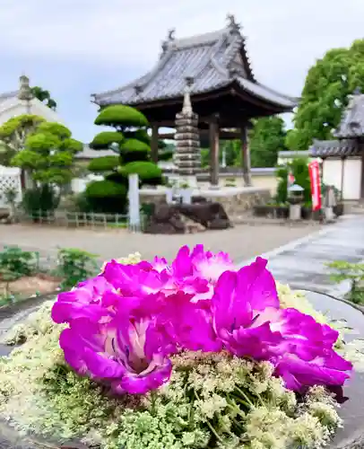 真言宗　善通寺派　薬王寺(香川県)
