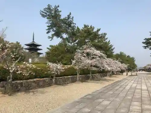 法隆寺の{uncategorized: "未分類", other: "その他", undefined: "問題あり", building: "その他建物", grave: "お墓", sacred_gate: "鳥居", guardian: "狛犬", statue: "像", buddha: "仏像", history: "歴史", nature: "自然", garden: "庭園", animal: "動物", pagoda: "塔", temizu: "手水舎", mountain_gate: "山門・神門", sanctuary: "本殿・本堂", subordinate: "末社・摂社", art: "芸術", scenery: "景色", jizo: "地蔵", ema: "絵馬", goshuin: "御朱印", omikuji: "おみくじ", items: "授与品その他", amulet: "お守り", goshuincho: "御朱印帳", eats: "食事", festival: "お祭り", votive_dance: "神楽", shichigosan: "七五三参", wedding: "結婚式", experience: "体験その他", initially: "初詣", around: "周辺", anti_infection: "感染症対策"}