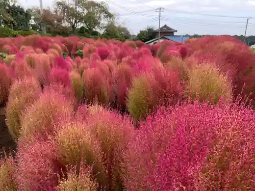 比々多神社の自然