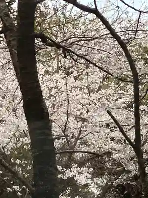 愛宕神社(茨城県)