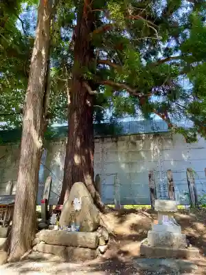 初鹿野諏訪神社(山梨県)