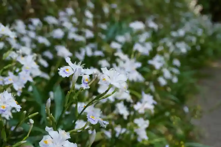 杉山谷不動尊(京都府)