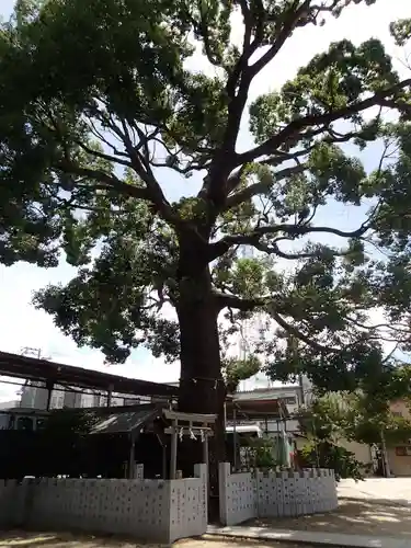 阿麻美許曽神社のその他建物