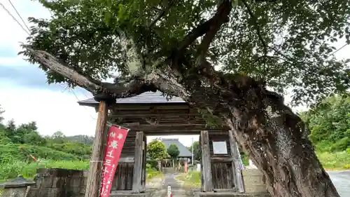 龍護寺の山門