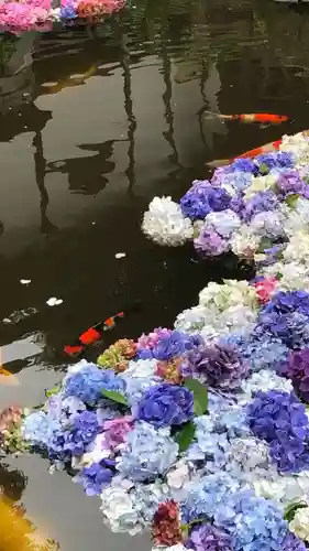楽法寺（雨引観音）(茨城県)