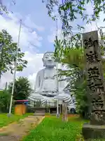 布袋の大仏(御嶽薬師尊)の仏像