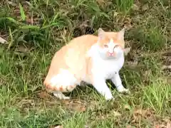 曽根天満宮の動物