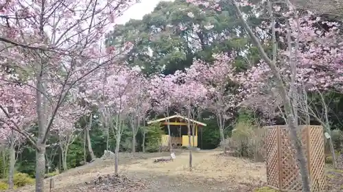 熊野若王子神社の自然