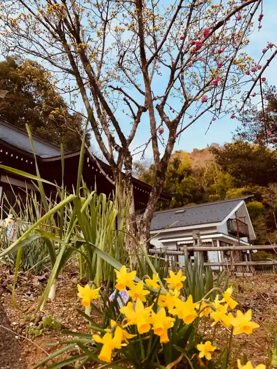 白山神社の自然