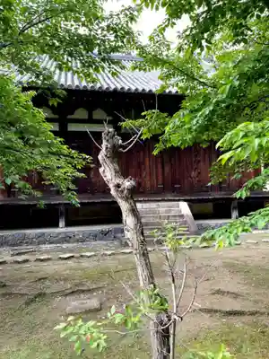 東大寺真言院(奈良県)