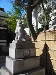 鳥越神社の狛犬