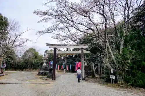 曽野稲荷神社の鳥居