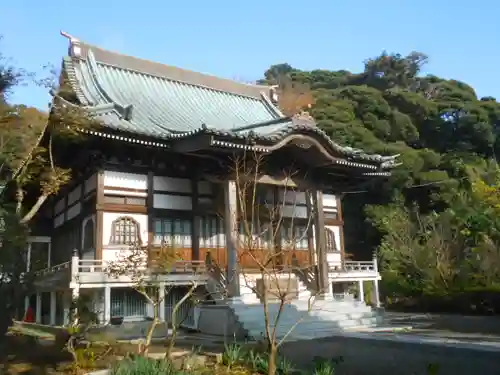 妙伝寺（妙傳寺）の本殿・本堂
