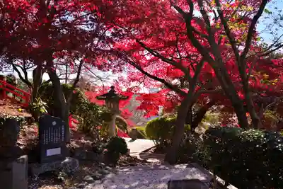 足利織姫神社(栃木県)