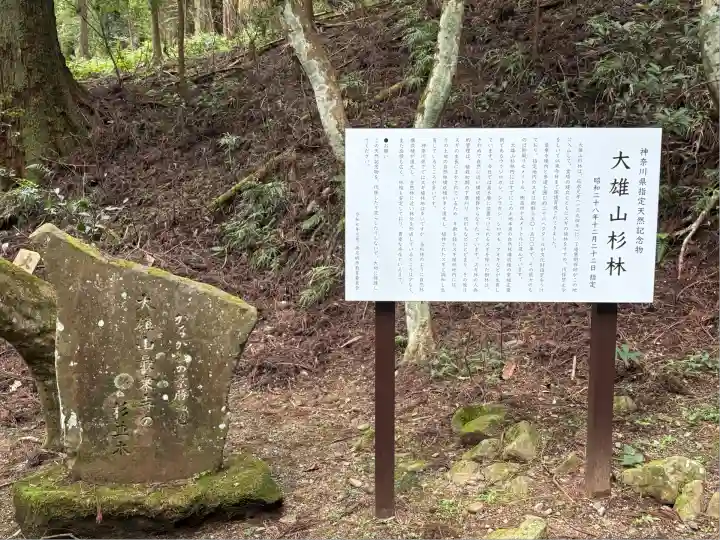 最乗寺(道了尊)(神奈川県)